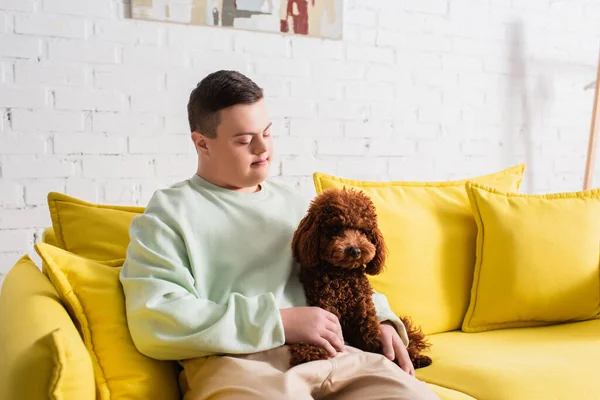 Teenager with down syndrome looking at brown poodle on couch at home — Stock Photo
