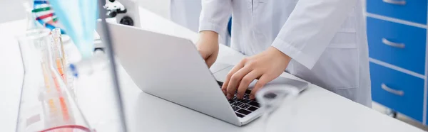 Abgeschnittene Ansicht von Wissenschaftlern, die auf Laptop im Biolabor tippen, Banner — Stockfoto