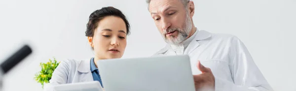 Científico maduro apuntando a la computadora portátil cerca de joven colega en el laboratorio, bandera - foto de stock