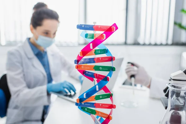 Selective focus of dna structure model near blurred geneticist in medical mask — Stock Photo