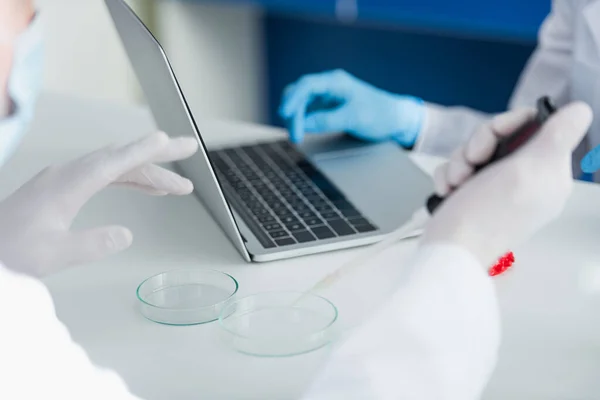 Vista cortada do cientista com micropipeta perto de placas de Petri, laptop e colega — Fotografia de Stock