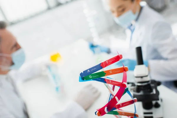 Foco seletivo do modelo de estrutura de dna perto de geneticistas em máscaras médicas em fundo embaçado — Fotografia de Stock