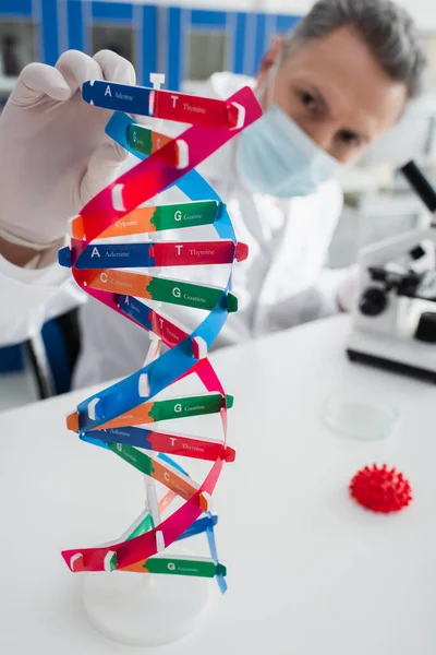 Selektiver Fokus des dna-Modells in der Nähe von Genetikern in medizinischer Maske auf verschwommenem Hintergrund — Stockfoto