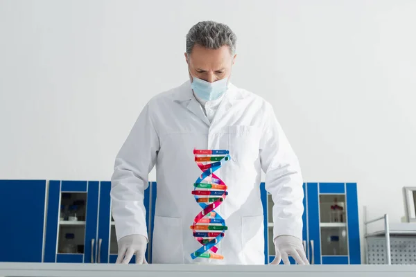 Grey-haired geneticist in white coat looking at dna model in bio laboratory — Stock Photo