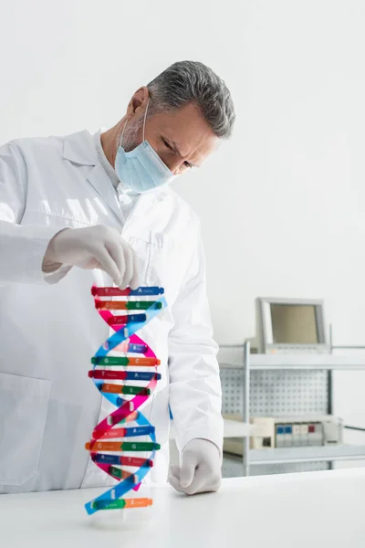 Genetiker in medizinischer Maske betrachtet dna-Modell im Biolabor — Stockfoto