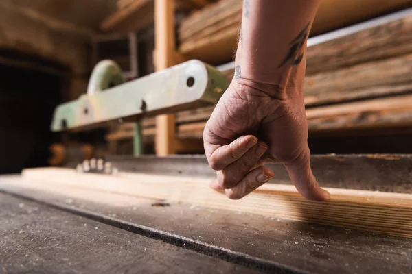 Cropped view of carpenter sawing wooden plank on circular saw — Stock Photo