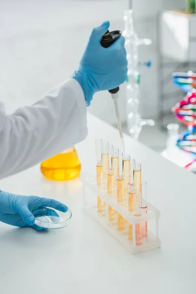 Cropped view of geneticist with petri dish and micropipette near test tubes — Stock Photo