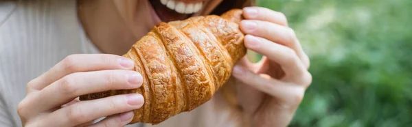 Vista recortada de la mujer feliz sosteniendo croissant morder, bandera - foto de stock