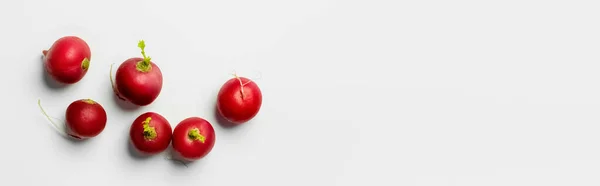 Top view of natural radishes on white background, banner — Stock Photo