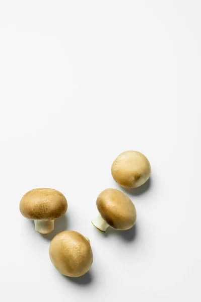 Top view of fresh mushrooms on white background — Stockfoto
