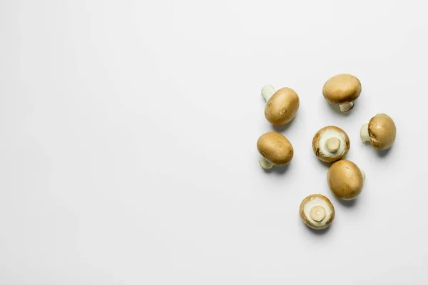 Top view of ripe mushrooms on white background with copy space - foto de stock
