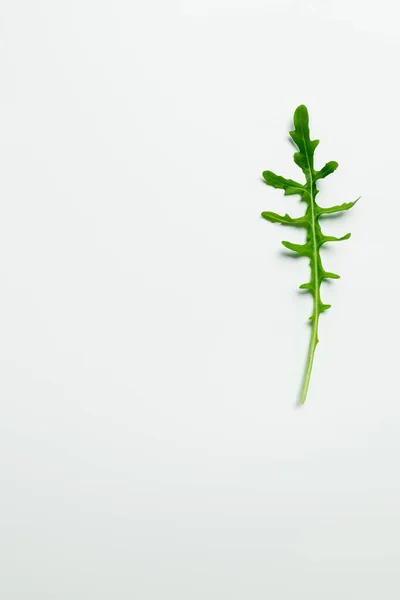 Top view of arugula leaf on white background — Stock Photo