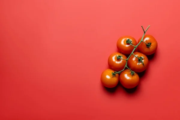 Top view of organic cherry tomatoes on red background — Stock Photo