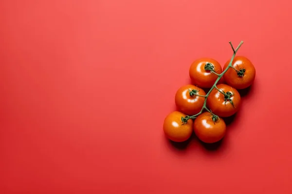 Vista superior de tomates cereja orgânicos no fundo vermelho — Fotografia de Stock