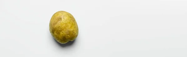 Top view of organic potato on white background with copy space, banner - foto de stock