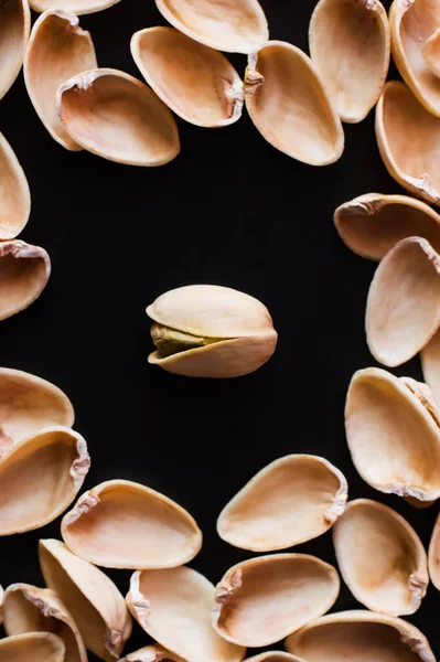 Flay lay of nutshells around tasty pistachio nut isolated on black - foto de stock