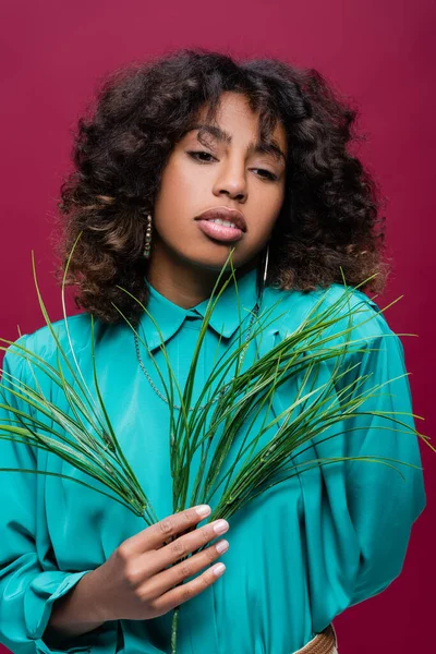 Curly african american woman in turquoise blouse holding green branch isolated on pink — Stock Photo