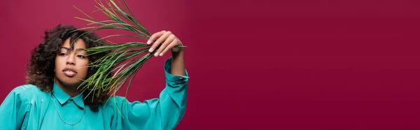 Afro-américaine posant avec une branche verte et regardant loin isolé sur rose foncé, bannière — Photo de stock