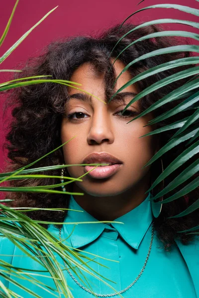 Retrato de mulher americana africana morena olhando para a câmera perto de folhas verdes isoladas em rosa — Fotografia de Stock