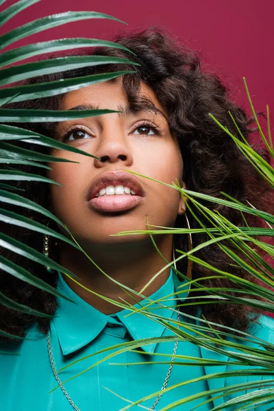 Pretty african american woman looking up near exotic leaves isolated on pink — Stock Photo