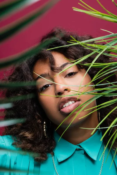 Portrait de femme sensuelle afro-américaine regardant la caméra près des feuilles sur le premier plan flou isolé sur rose — Photo de stock