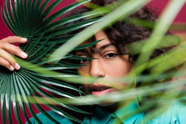 Mulher afro-americana olhando para a câmera perto de folhas tropicais borradas isoladas em rosa — Fotografia de Stock