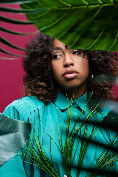 Brunette african american woman in cyan blouse near green tropical leaves isolated on pink — Stock Photo