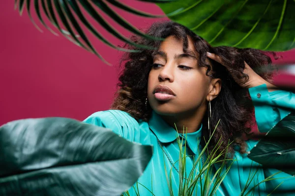 Mujer afroamericana con estilo tocando el pelo rizado y mirando hacia otro lado cerca de hojas tropicales aisladas en rosa - foto de stock