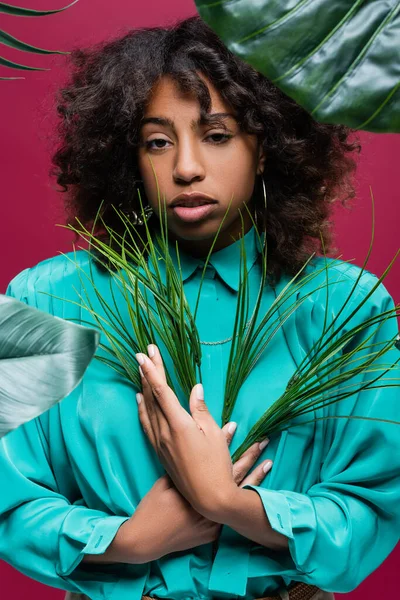 Mulher americana africana em blusa elegante segurando folhas verdes isoladas em rosa — Fotografia de Stock