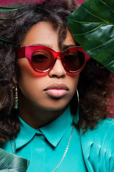 Portrait de femme brune afro-américaine dans des lunettes de soleil tendance près de feuilles vertes — Photo de stock