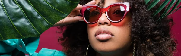 Afro-américaine aux cheveux ondulés ajustant des lunettes de soleil élégantes près de feuilles isolées sur rose, bannière — Photo de stock