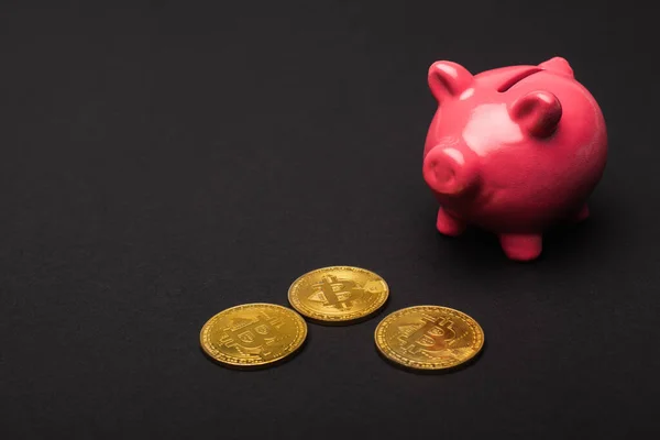 KIEW, UKRAINE - 26. April 2022: Großaufnahme von goldenen Bitcoins und Sparschweinen auf schwarzem Hintergrund — Stockfoto