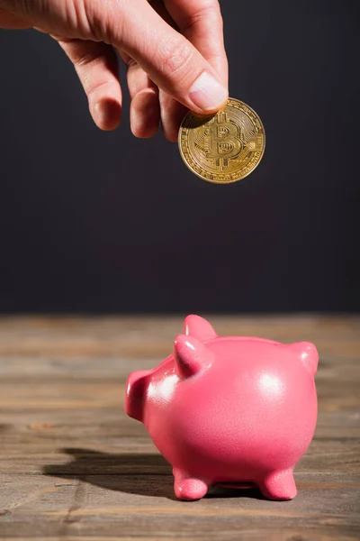 KYIV, UKRAINE - APRIL 26, 2022: Close up view of man holding golden crypto coin near piggy bank on wooden surface isolated on black — Stock Photo