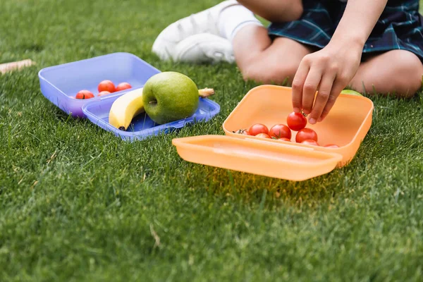 Vue recadrée de l'écolière prenant la tomate cerise de la boîte à lunch sur l'herbe — Photo de stock