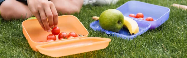 Vue recadrée de l'écolier prenant des tomates cerises de la boîte à lunch sur l'herbe dans le parc, bannière — Photo de stock