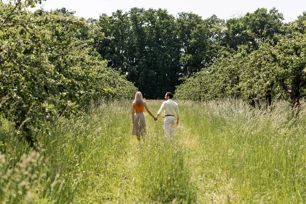 Romantic couple holding hands while walking on meadow in park — Stock Photo