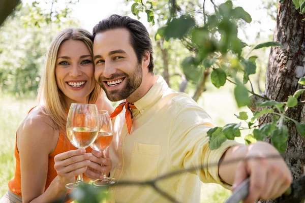 Pareja sonriente y de moda sosteniendo copas de vino cerca del árbol en el parque de verano - foto de stock