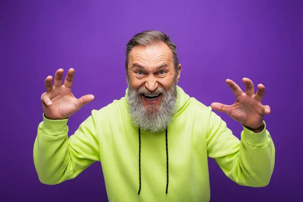 Bearded senior man grimacing while gesturing and making scared on purple — Stock Photo