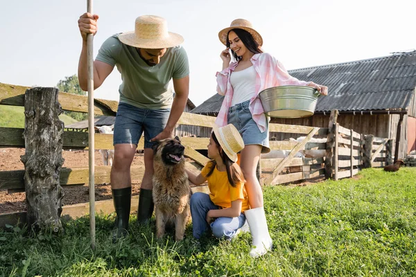 Девочка гладит скотину рядом с родителями с граблями и чашей на ферме — стоковое фото