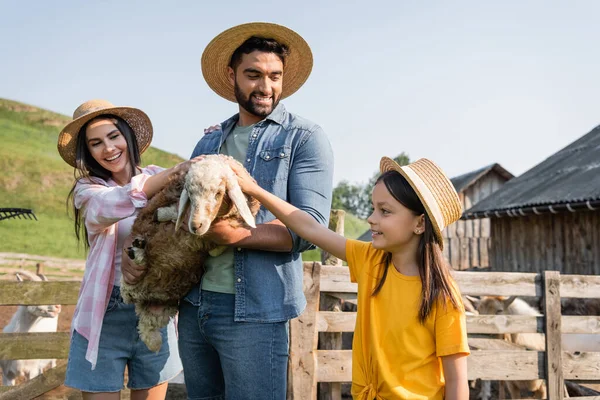 Woman and child in straw hats stroking lamb in hands of smiling farmer - foto de stock