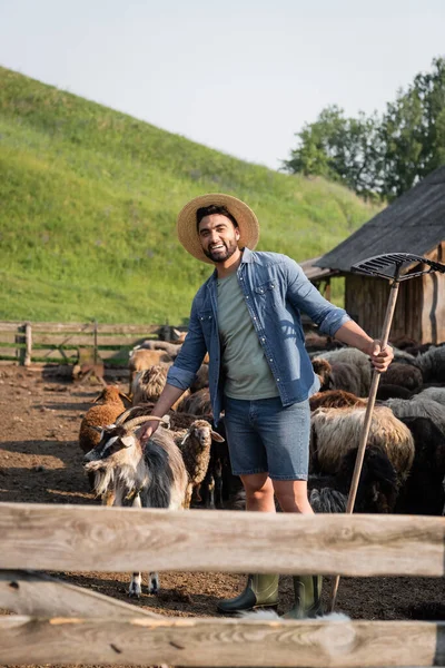 Agricultor barbudo alegre com ancinhos olhando para câmera perto de rebanho em curral — Fotografia de Stock