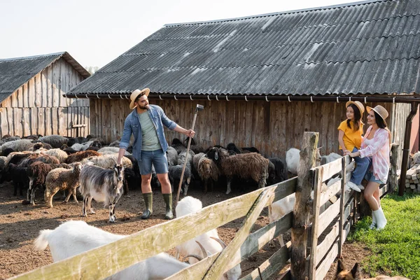 Granjero con rastrillos de pie en corral cerca de rebaño y familia feliz - foto de stock