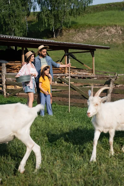 Familia en sombreros de paja de pie cerca de corral y cabras borrosas en la granja de ganado - foto de stock