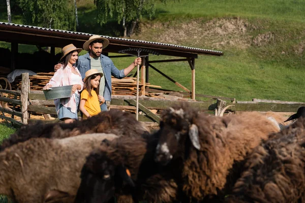 Family with bowl and rakes near blurred sheep herd on farm in village — Stock Photo