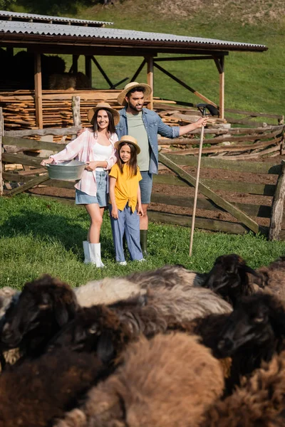 Fröhliche Frau mit Schüssel in der Nähe von Familie und verschwommenem Vieh auf Bauernhof in der Landschaft — Stockfoto