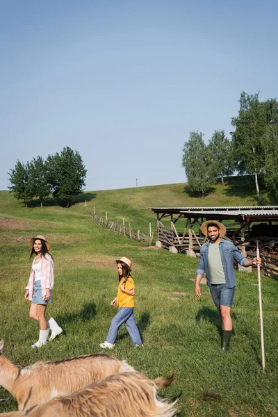 Happy family in straw hats walking on farmland near grazing cattle — Fotografia de Stock