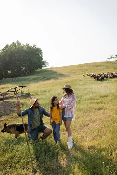 Agriculteur avec râteaux près de sa fille et sa femme debout dans un pâturage près du troupeau de pâturage — Photo de stock