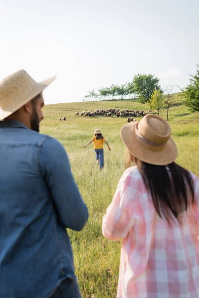 Vue arrière des agriculteurs flous dans des chapeaux de paille regardant la fille courir vers le troupeau de pâturage — Photo de stock