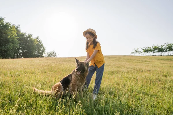 Girl in straw hat stroking fluffy cattle dog in grassy pasture on summer day - foto de stock