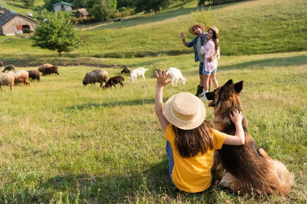 Girl with cattle dog waving hand to happy parents herding livestock in green pasture — Stock Photo